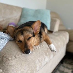 Meet your Posher, Jayna